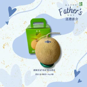 父親節禮盒 靜岡皇冠"青肉"蜜瓜禮盒 禮盒1盒1個(約1.5kg1個)