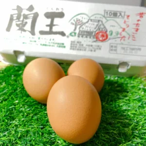 九州大分"蘭王"雞蛋(加熱用) 2盒 (1盒10粒)