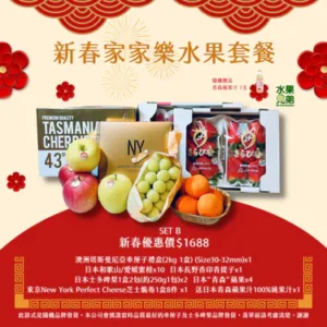 新春家家樂水果套餐 SET B
