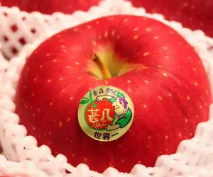 青森"世界一"紅蘋果