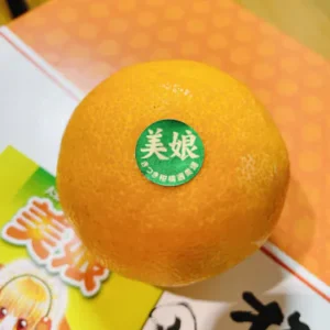 大分美娘天草橙