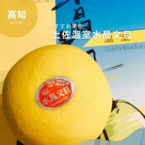 高知縣土佐溫室水晶文旦