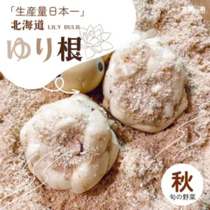 北海道新鮮百合根 4個(約200g1個)