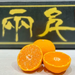 愛媛"日の丸"蜜柑