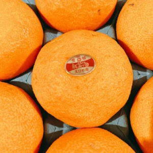 愛媛"麥當娜"柑橙