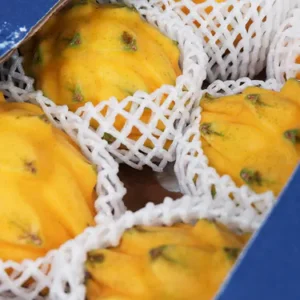 厄瓜多爾麒麟果原箱(燕窩果) 原箱7個(約350g1個)