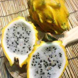 厄瓜多爾麒麟果(燕窩果) 2個(約350g1個)