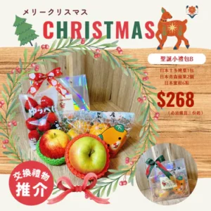 聖誕小禮包B