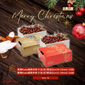 澳洲Koala樹熊車厘子(金/紅)禮盒