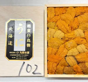 マルイチ白上バラAB/礼文産 $700起