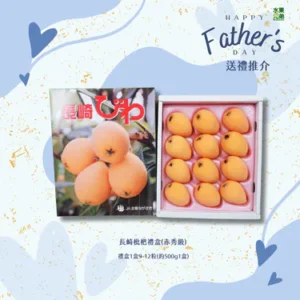 父親節禮盒 長崎枇杷禮盒(赤秀級) 禮盒1盒9-12粒(約500g1盒)