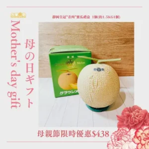 母親節禮盒推介-日本靜岡皇冠"青"肉蜜瓜禮盒